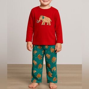 Cat & Jack Woolly Mammoth Long Sleeve Pajama Set 2T Toddler Gift